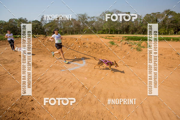 Buy your photos of the eventTreino Premiado de Canicross on Fotop