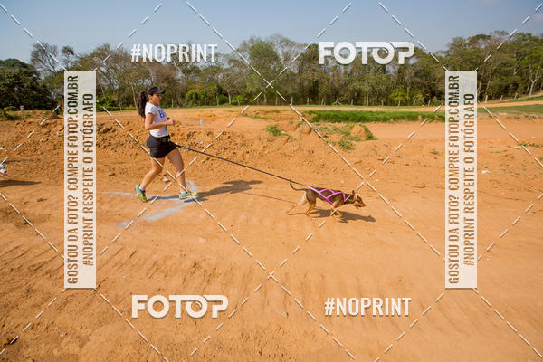 Buy your photos of the eventTreino Premiado de Canicross on Fotop