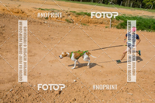 Buy your photos of the eventTreino Premiado de Canicross on Fotop