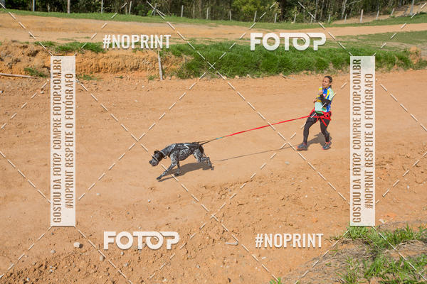 Buy your photos of the eventTreino Premiado de Canicross on Fotop
