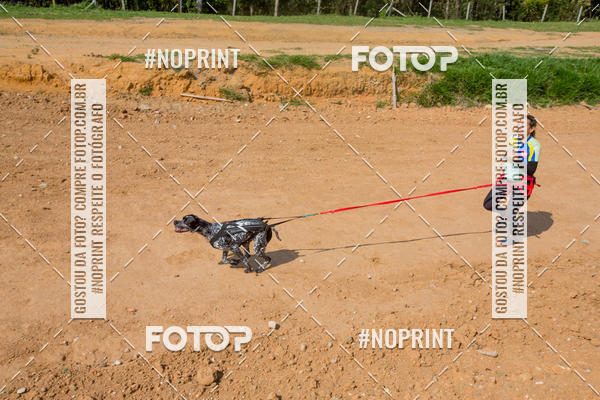 Buy your photos of the eventTreino Premiado de Canicross on Fotop