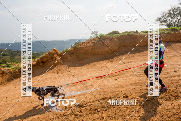 Buy your photos of the eventTreino Premiado de Canicross on Fotop