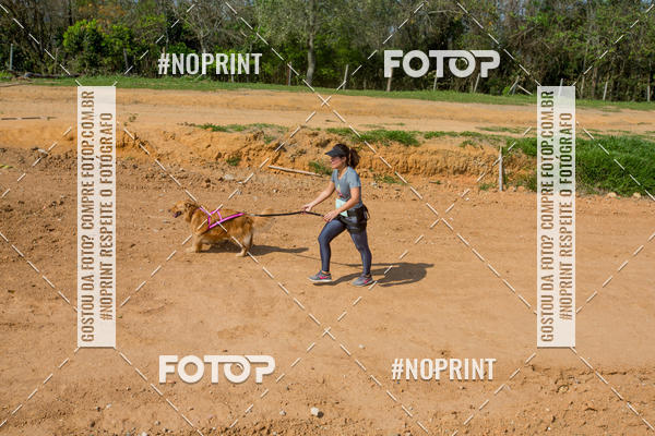 Buy your photos of the eventTreino Premiado de Canicross on Fotop
