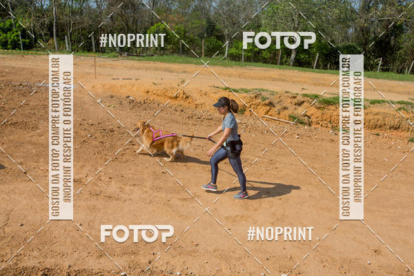 Buy your photos of the eventTreino Premiado de Canicross on Fotop