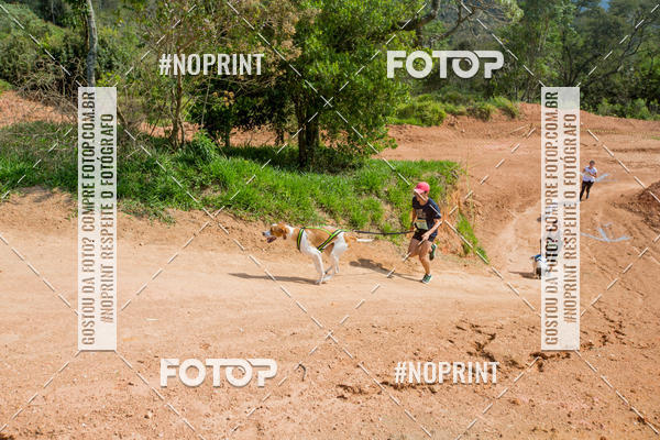 Buy your photos of the eventTreino Premiado de Canicross on Fotop