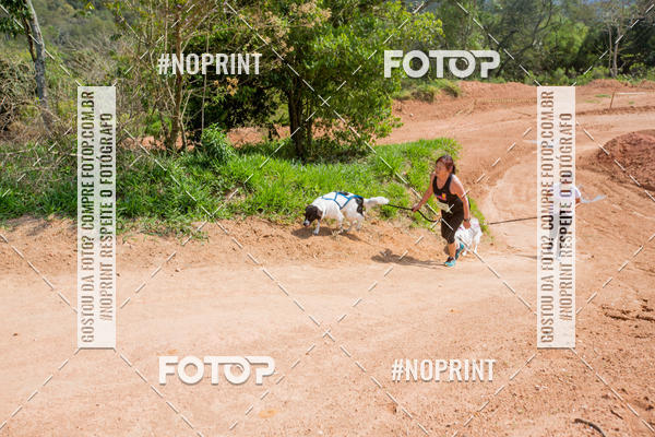Buy your photos of the eventTreino Premiado de Canicross on Fotop