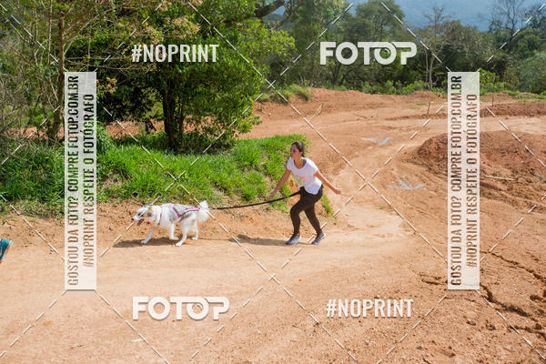 Buy your photos of the eventTreino Premiado de Canicross on Fotop