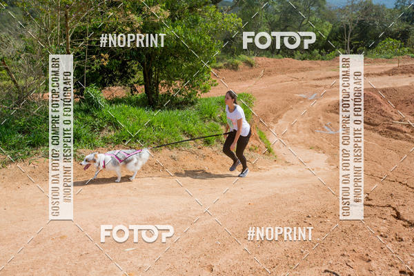 Buy your photos of the eventTreino Premiado de Canicross on Fotop
