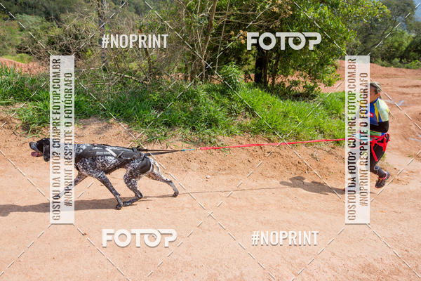 Buy your photos of the eventTreino Premiado de Canicross on Fotop