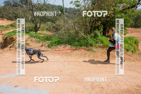 Buy your photos of the eventTreino Premiado de Canicross on Fotop