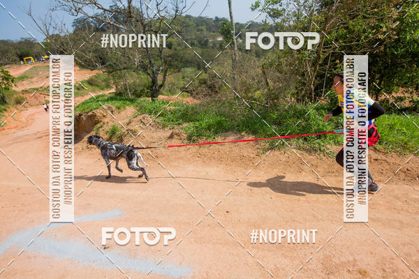 Buy your photos of the eventTreino Premiado de Canicross on Fotop