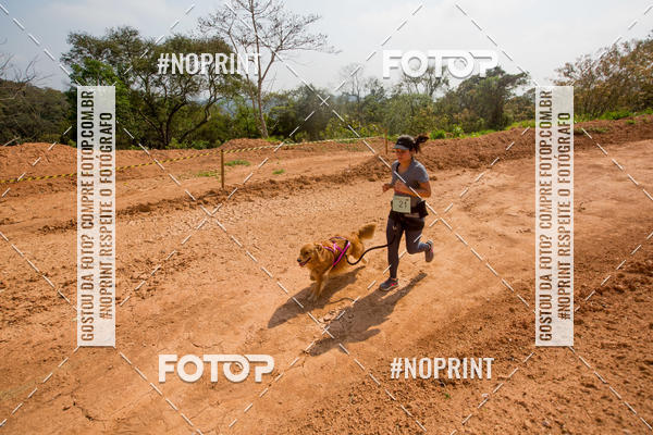Buy your photos of the eventTreino Premiado de Canicross on Fotop