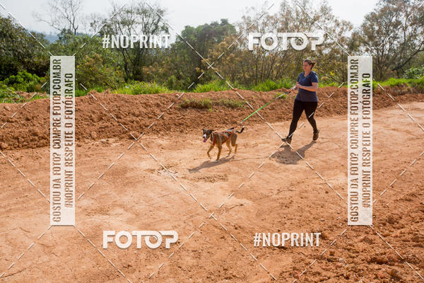 Buy your photos of the eventTreino Premiado de Canicross on Fotop