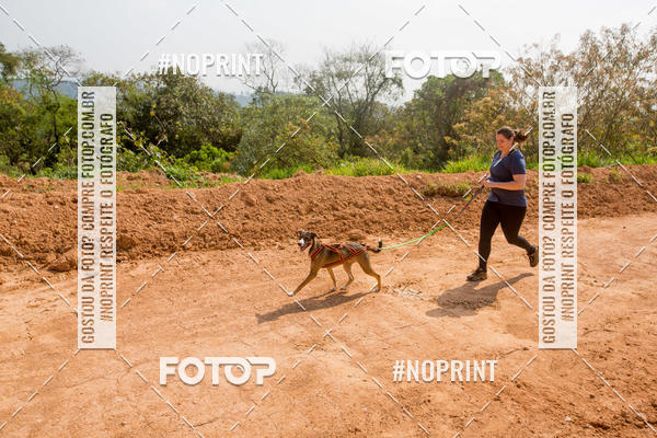Buy your photos of the eventTreino Premiado de Canicross on Fotop