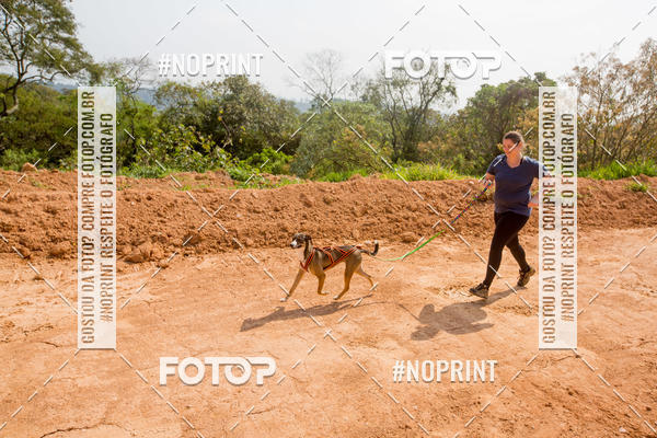 Buy your photos of the eventTreino Premiado de Canicross on Fotop