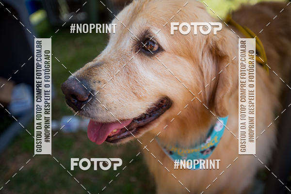 Buy your photos of the eventTreino Premiado de Canicross on Fotop