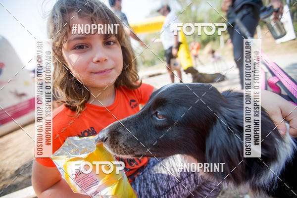 Buy your photos of the eventTreino Premiado de Canicross on Fotop