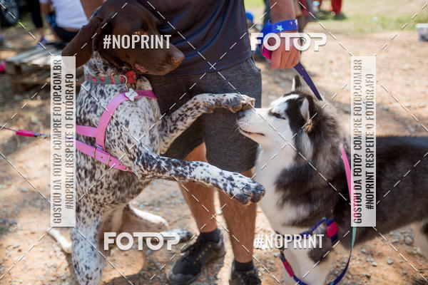 Buy your photos of the eventTreino Premiado de Canicross on Fotop