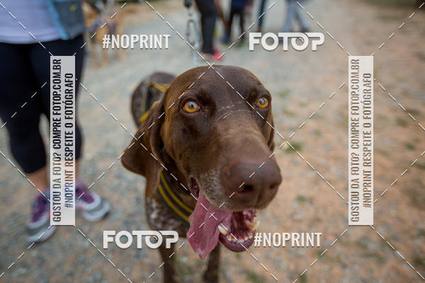 Compra tus fotos del eventoTreino Premiado de Canicross En Fotop