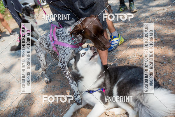 Buy your photos of the eventTreino Premiado de Canicross on Fotop