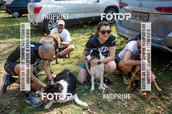Buy your photos of the eventTreino Premiado de Canicross on Fotop