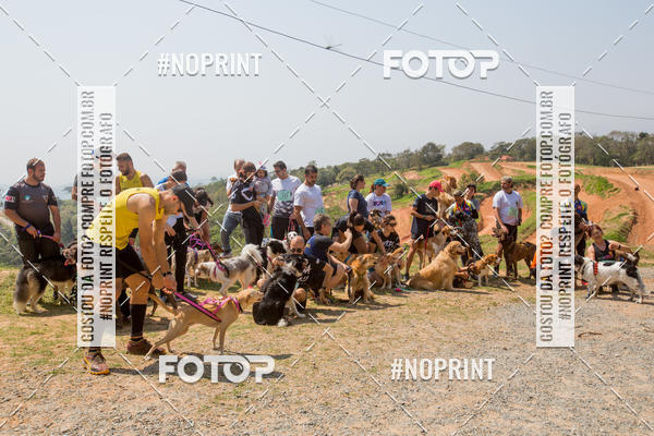 Buy your photos of the eventTreino Premiado de Canicross on Fotop