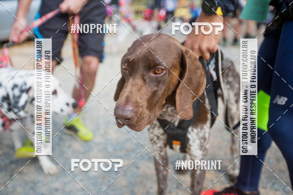 Compra tus fotos del eventoTreino Premiado de Canicross En Fotop