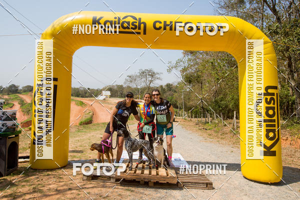Buy your photos of the eventTreino Premiado de Canicross on Fotop