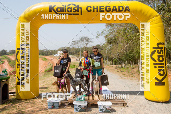 Buy your photos of the eventTreino Premiado de Canicross on Fotop