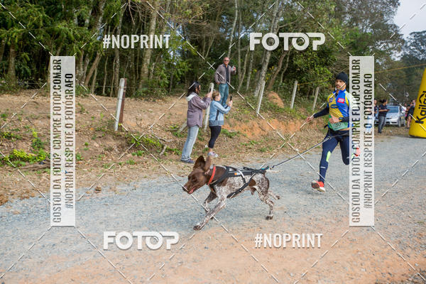 Compra tus fotos del eventoTreino Premiado de Canicross En Fotop