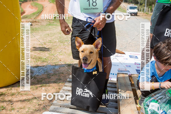Buy your photos of the eventTreino Premiado de Canicross on Fotop