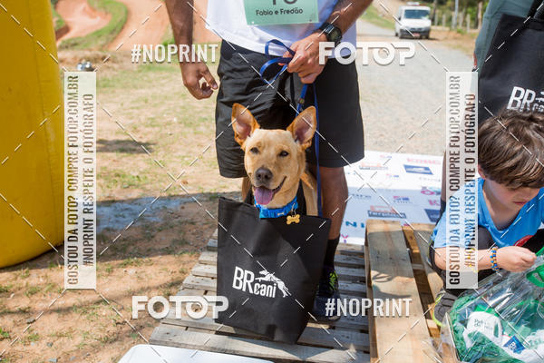 Buy your photos of the eventTreino Premiado de Canicross on Fotop