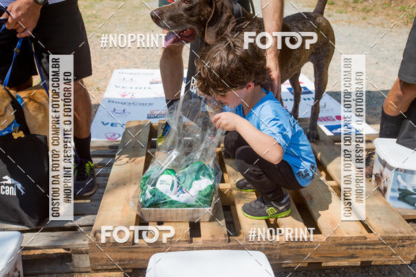 Buy your photos of the eventTreino Premiado de Canicross on Fotop