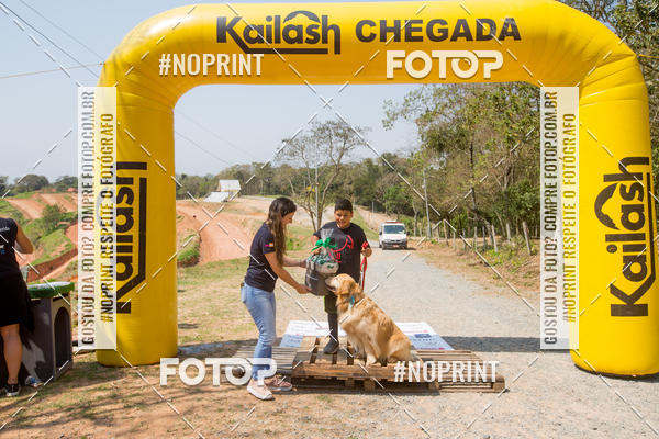 Buy your photos of the eventTreino Premiado de Canicross on Fotop