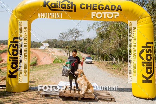 Buy your photos of the eventTreino Premiado de Canicross on Fotop