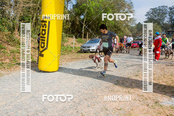 Buy your photos of the eventTreino Premiado de Canicross on Fotop