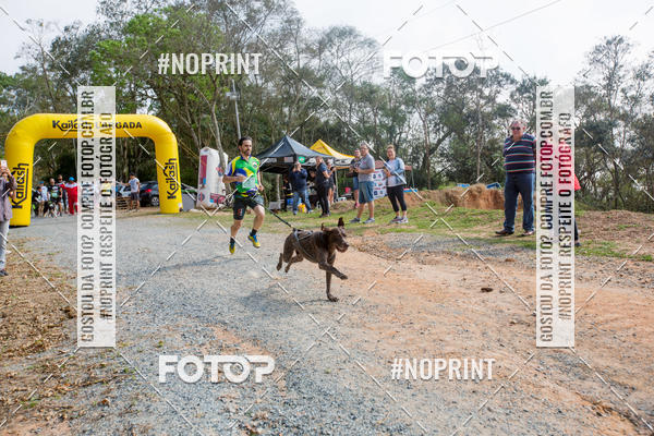 Buy your photos of the eventTreino Premiado de Canicross on Fotop