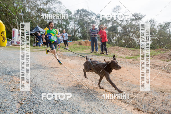 Buy your photos of the eventTreino Premiado de Canicross on Fotop