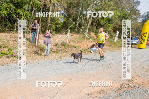 Achetez vos photos de l'vnementTreino Premiado de Canicross sur Fotop