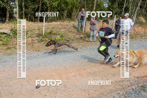 Achetez vos photos de l'vnementTreino Premiado de Canicross sur Fotop