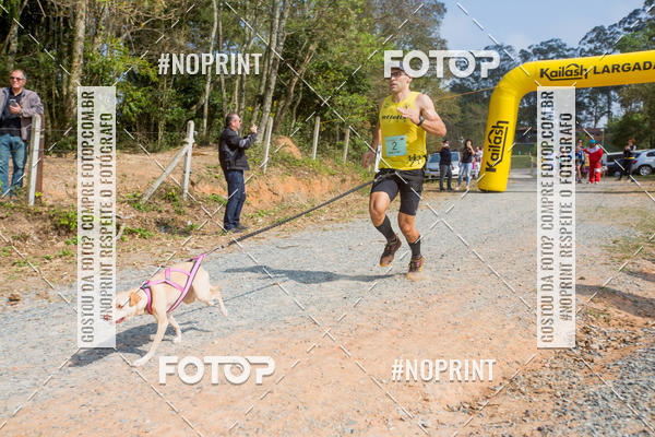 Achetez vos photos de l'vnementTreino Premiado de Canicross sur Fotop