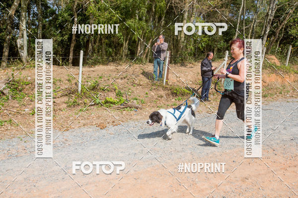 Buy your photos of the eventTreino Premiado de Canicross on Fotop
