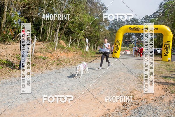 Buy your photos of the eventTreino Premiado de Canicross on Fotop