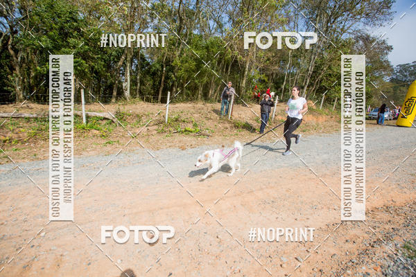 Buy your photos of the eventTreino Premiado de Canicross on Fotop