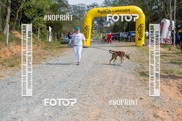Buy your photos of the eventTreino Premiado de Canicross on Fotop