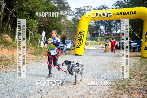 Buy your photos of the eventTreino Premiado de Canicross on Fotop