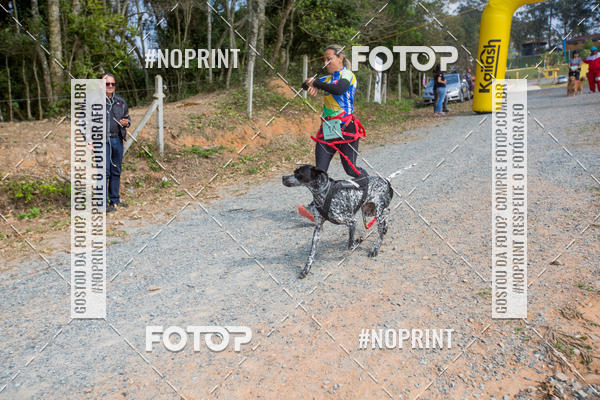 Compre as suas fotos do eventoTreino Premiado de Canicross no Fotop