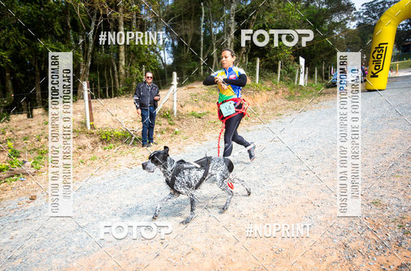 Buy your photos of the eventTreino Premiado de Canicross on Fotop
