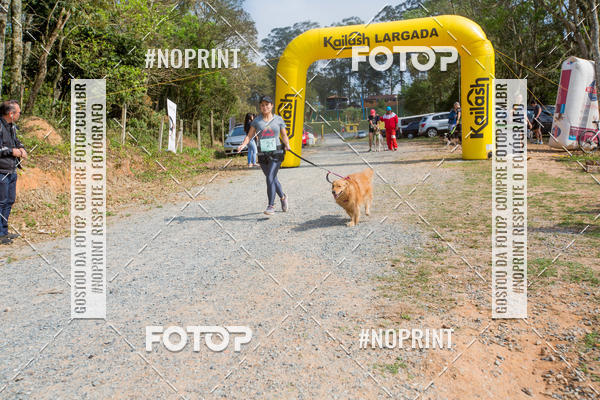 Compre as suas fotos do eventoTreino Premiado de Canicross no Fotop