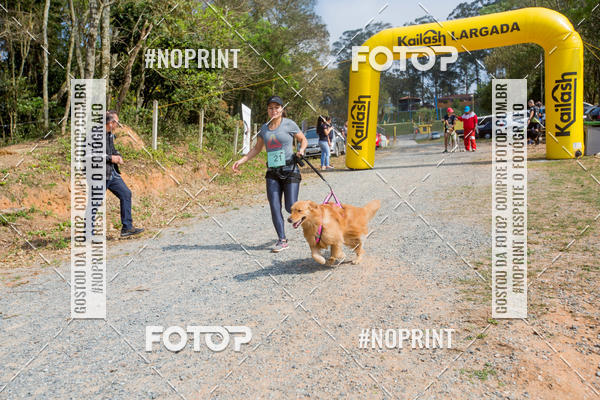 Buy your photos of the eventTreino Premiado de Canicross on Fotop